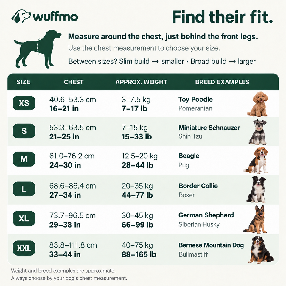 Wuffmo® - ErgoWalk Harness