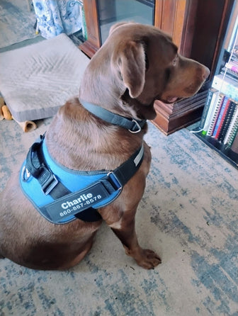 Jackson and his companion, shared with Jutta’s review