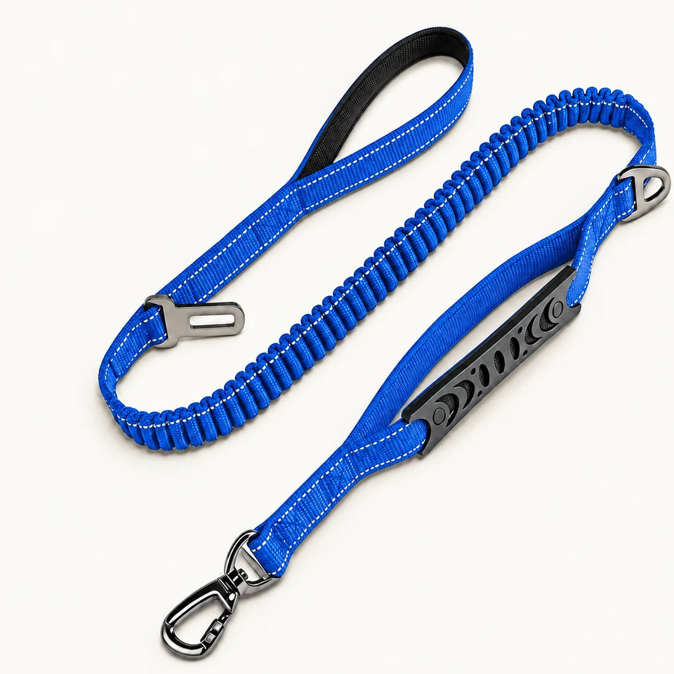 Wuffmo® - Bungee Leash