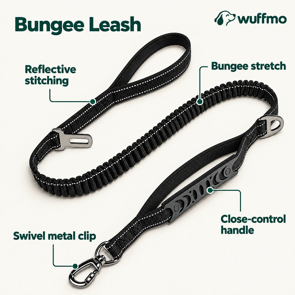 Bungee leash features: elastic stretch, reflective stitching, close-control handle and swivel clip
