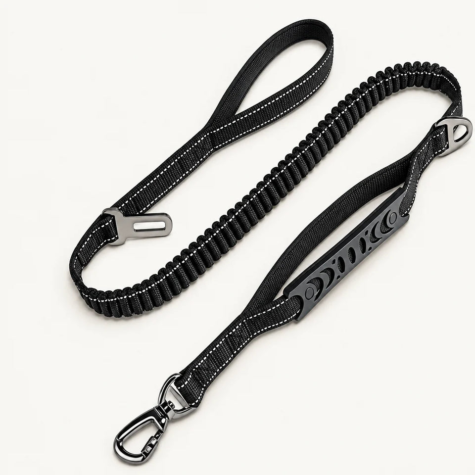 Wuffmo® - Bungee Leash