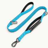 Light Blue bungee leash