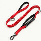 Red bungee leash