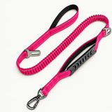 Rose Red bungee leash