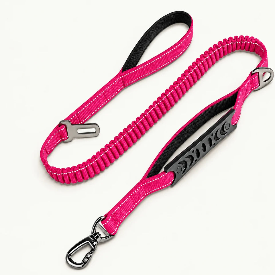 Wuffmo® - Bungee Leash