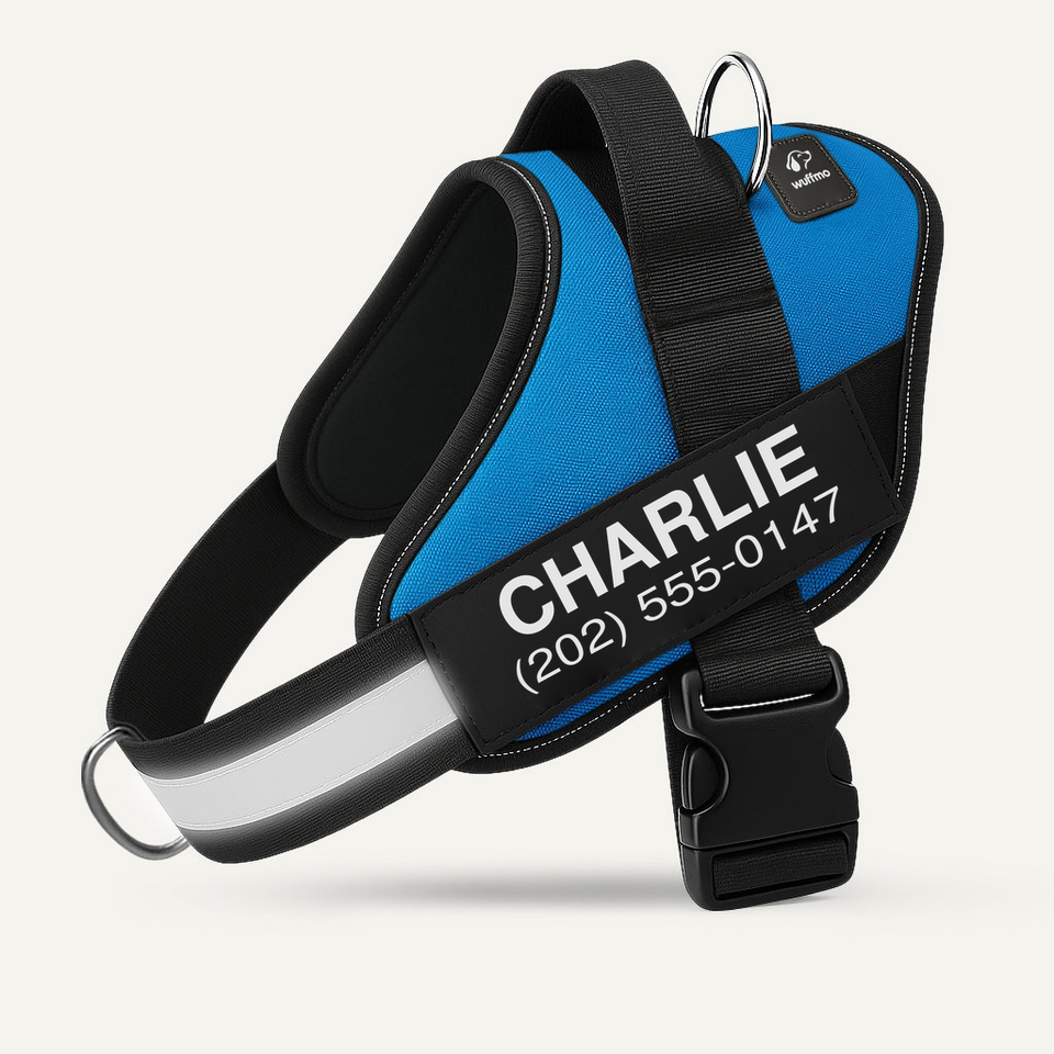 Wuffmo® - ErgoWalk Harness
