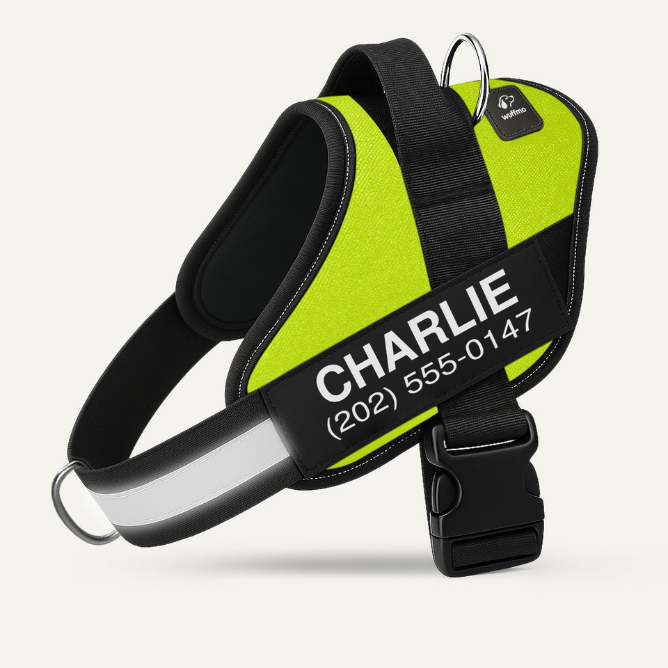Wuffmo® - ErgoWalk Harness