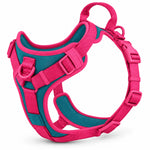Wuffmo Forma no-pull harness in Berry 