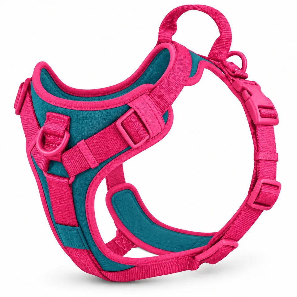 Wuffmo Forma no-pull harness in Berry