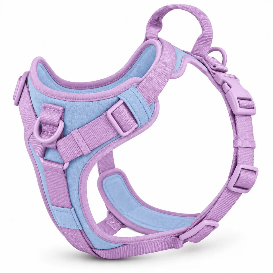 Wuffmo Forma no-pull harness in Lilac