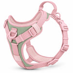 Wuffmo Forma no-pull harness in Rose 