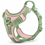 Wuffmo Forma no-pull harness in Sage 