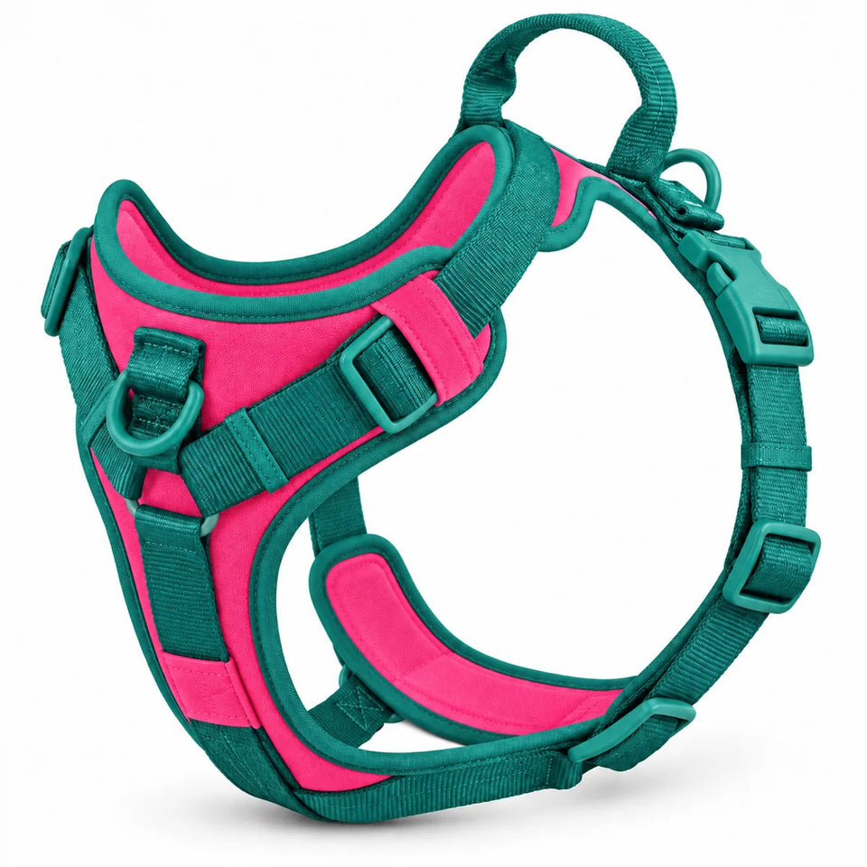 Wuffmo Forma no-pull harness in Teal