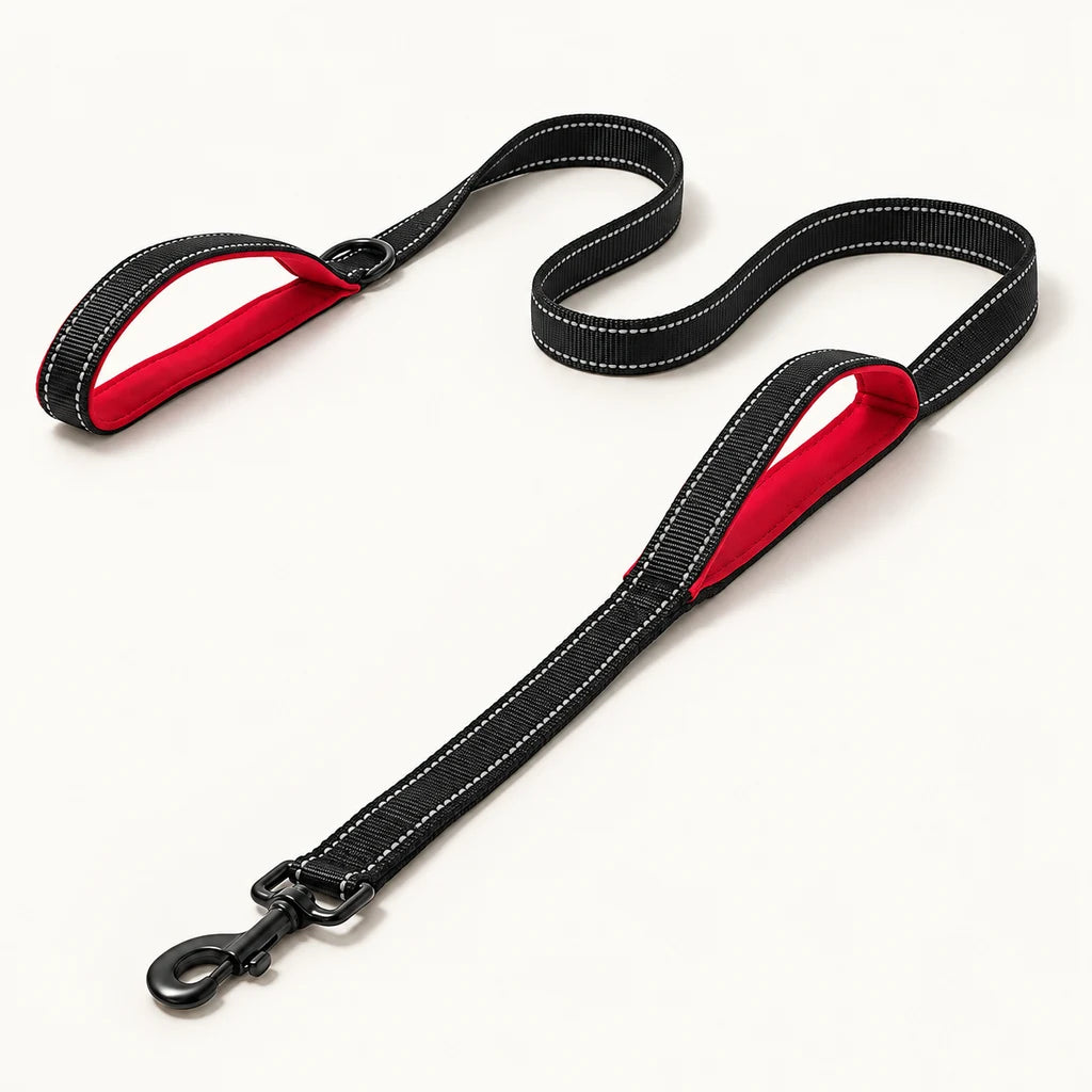 Free nylon leash included with your ErgoWalk harness 