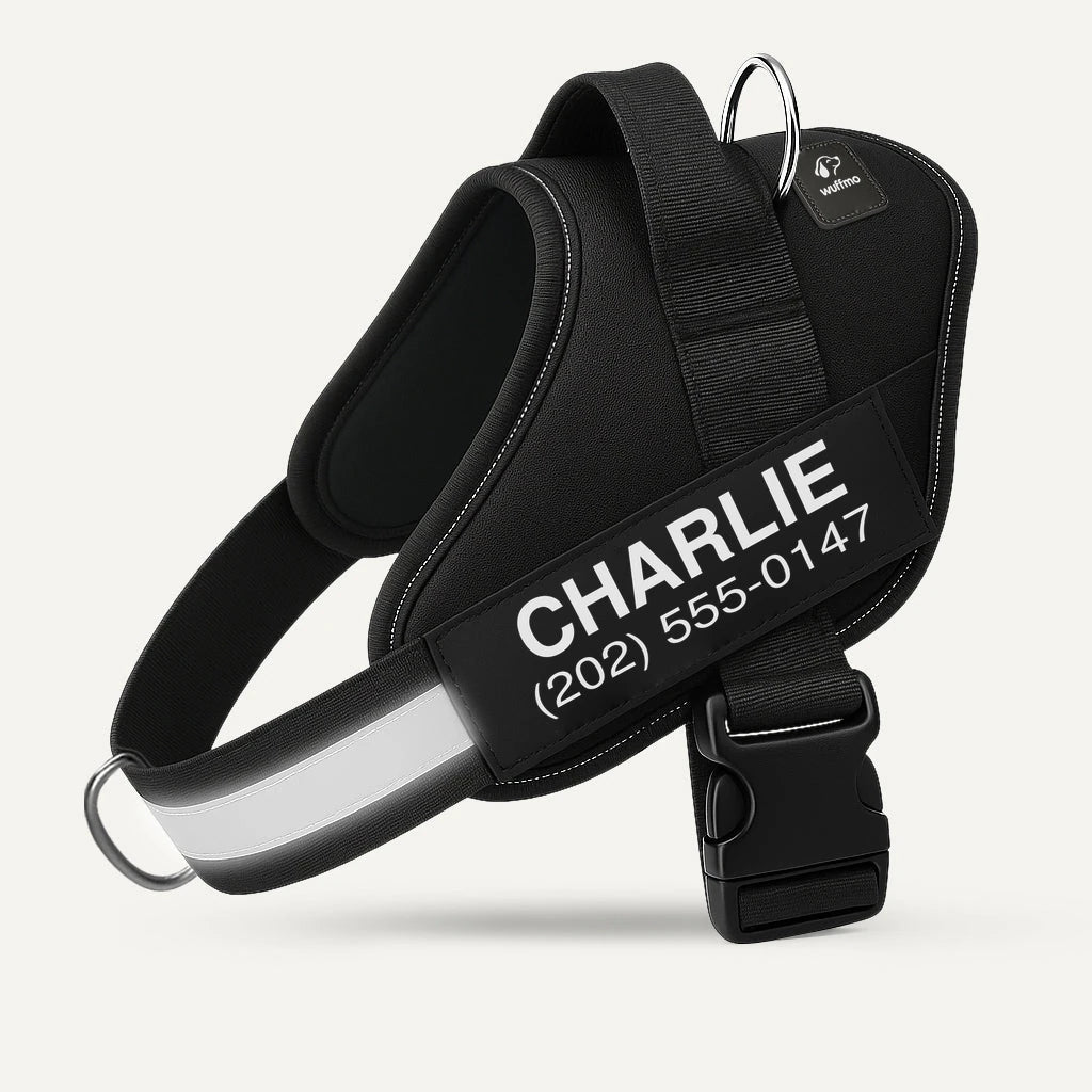 Black Wuffmo harness with Charlie name patch